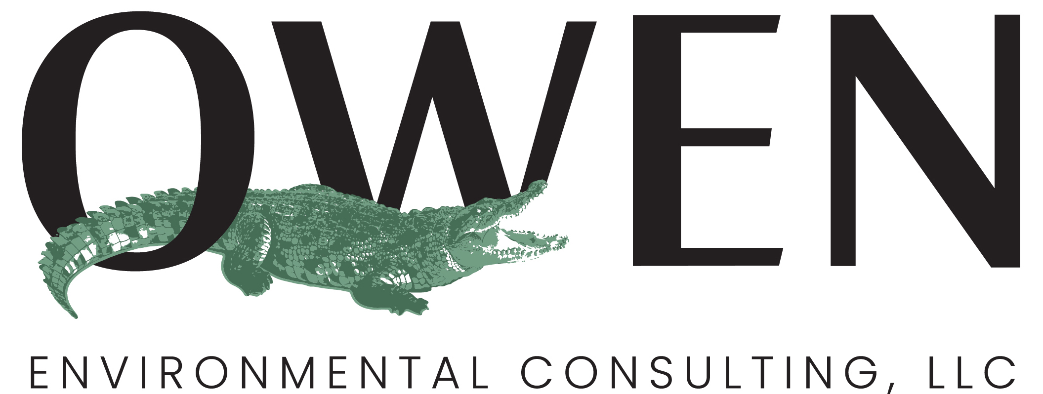 Final Letter head LOGO Owen Environmental Consulting, LLC-02.jpeg